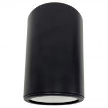 Avista Lighting A1101RC-BK - Avista Cylinder Outdoor Celing Fixture Black -Round