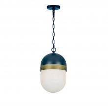 Crystorama CAP-8507-MK-TG - Brian Patrick Flynn Capsule 1 Light Matte Black + Textured Gold Outdoor Pendant