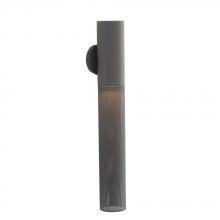 Arteriors Home GADWC09 - Punch Large Outdoor Sconce