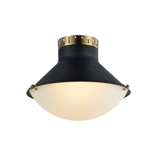 Matteo Lighting X66303MBAG - Notting Ceiling Mount