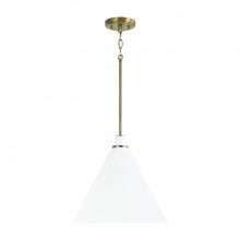 Capital Canada 350112AW - 1 Light Pendant