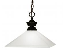 Z-Lite 100701BRZ-MMO13 - 1 Light Pendant