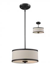 Z-Lite 165-12 - 2 Light Pendant