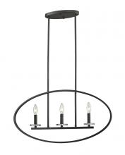 Z-Lite 2010-3L-BRZ - 3 Light Linear Chandelier