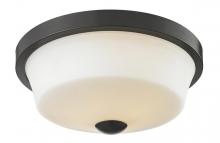 Z-Lite 411F2 - 2 Light Flush Mount