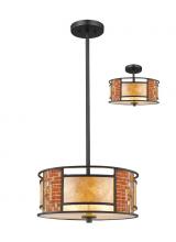 Z-Lite Z14-55P-C - 3 Light Pendant