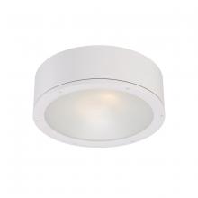 WAC Canada FM-W2612-WT - TUBE Outdoor Flush Mount Light