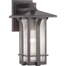 Progress P560124-020 - P560124-020 1-100W MED WALL LANTERN