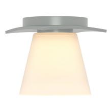 Hubbardton Forge - Canada 126601-SKT-02-GG0242 - Wren Flush Mount