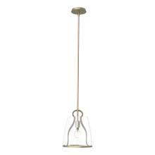 Hubbardton Forge - Canada 131065-SKT-MULT-84-ZM0721 - Caliper Pendant