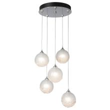 Hubbardton Forge - Canada 131131-SKT-STND-02-FD0750 - Fritz Globe 5-Light Pendant