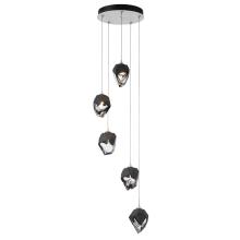 Hubbardton Forge - Canada 131137-SKT-STND-02-BP0754 - Chrysalis 5-Light Small Crystal Pendant