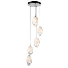 Hubbardton Forge - Canada 131138-SKT-STND-05-WP0755 - Chrysalis 5-Light Large Crystal Pendant