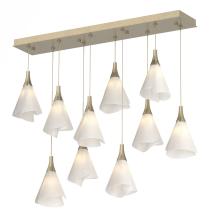 Hubbardton Forge - Canada 131202-SKT-LONG-84-SH1987 - Mobius 10-Light Pendant