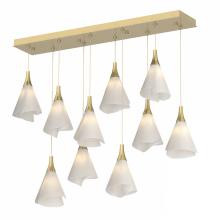 Hubbardton Forge - Canada 131202-SKT-LONG-86-SH1987 - Mobius 10-Light Pendant