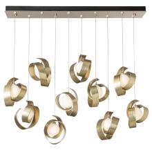 Hubbardton Forge - Canada 131208-SKT-STND-02-GG0711 - Riza 10-Light Pendant