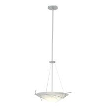 Hubbardton Forge - Canada 131620-SKT-MULT-02-GG0722 - Wisp Pendant