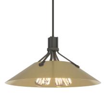 Hubbardton Forge - Canada 136340-SKT-MULT-20-86 - Henry Pendant