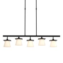 Hubbardton Forge - Canada 136605-SKT-SHRT-10-GG0242 - Wren 5 Light Pendant