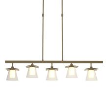 Hubbardton Forge - Canada 136605-SKT-STND-84-ZU0284 - Wren 5 Light Pendant