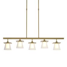 Hubbardton Forge - Canada 136605-SKT-STND-86-ZU0284 - Wren 5 Light Pendant