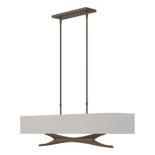 Hubbardton Forge - Canada 137655-SKT-LONG-05-SJ4298 - Moreau Pendant