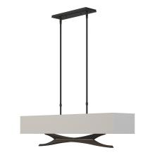 Hubbardton Forge - Canada 137655-SKT-SHRT-10-SJ4298 - Moreau Pendant