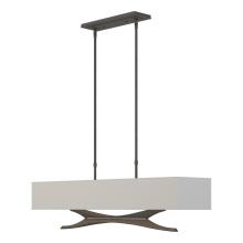 Hubbardton Forge - Canada 137655-SKT-LONG-20-SJ4298 - Moreau Pendant