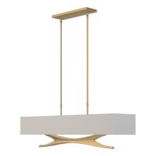 Hubbardton Forge - Canada 137655-SKT-LONG-86-SJ4298 - Moreau Pendant