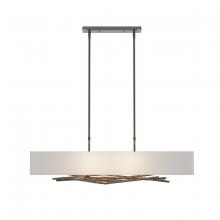 Hubbardton Forge - Canada 137660-SKT-STND-05-SJ4298 - Brindille Pendant