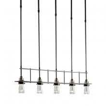 Hubbardton Forge - Canada 137725-SKT-STND-07-ZM0343 - Erlenmeyer 5 Light Pendant