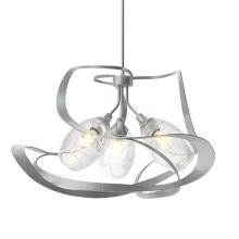 Hubbardton Forge - Canada 137855-SKT-MULT-02-ZM0621 - Nest Pendant