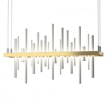 Hubbardton Forge - Canada 139725-LED-STND-86-82 - Cityscape LED Pendant