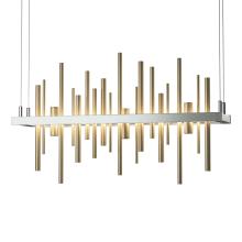 Hubbardton Forge - Canada 139725-LED-STND-02-84 - Cityscape LED Pendant