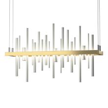 Hubbardton Forge - Canada 139725-LED-STND-86-02 - Cityscape LED Pendant