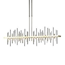 Hubbardton Forge - Canada 139726-LED-LONG-86-82 - Cityscape Large LED Pendant