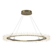 Hubbardton Forge - Canada 139772-LED-STND-86 - Anemone Circular LED Pendant