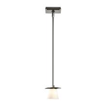 Hubbardton Forge - Canada 186600-SKT-MULT-07-GG0242 - Wren Mini Pendant