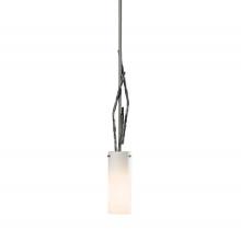 Hubbardton Forge - Canada 186670-SKT-MULT-07-GG0336 - Brindille Mini Pendant