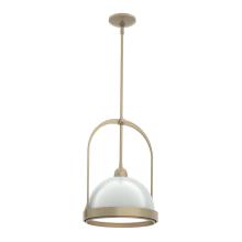 Hubbardton Forge - Canada 187462-SKT-MULT-84-02 - Atlas Small Pendant