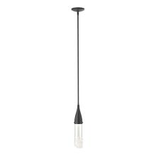 Hubbardton Forge - Canada 188900-SKT-MULT-89-ZM0617 - Fritz Mini Pendant