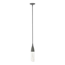 Hubbardton Forge - Canada 188900-SKT-MULT-20-ZM0617 - Fritz Mini Pendant