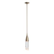 Hubbardton Forge - Canada 188900-SKT-MULT-84-ZM0617 - Fritz Mini Pendant