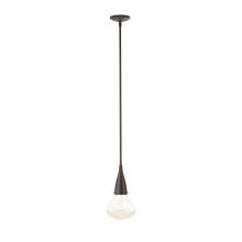 Hubbardton Forge - Canada 188902-SKT-MULT-05-ZM0676 - Fritz Large Pendant