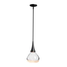 Hubbardton Forge - Canada 188902-SKT-MULT-89-ZM0676 - Fritz Large Pendant