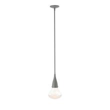 Hubbardton Forge - Canada 188902-SKT-MULT-20-ZM0676 - Fritz Large Pendant