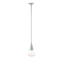 Hubbardton Forge - Canada 188902-SKT-MULT-02-ZM0676 - Fritz Large Pendant