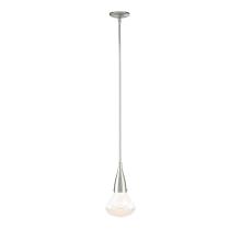 Hubbardton Forge - Canada 188902-SKT-MULT-85-ZM0676 - Fritz Large Pendant