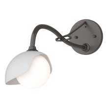 Hubbardton Forge - Canada 201376-SKT-14-02-GG0711 - Brooklyn 1-Light Single Shade Long-Arm Sconce