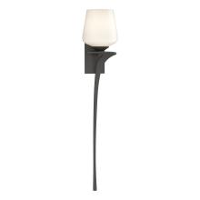 Hubbardton Forge - Canada 204710-SKT-RGT-20-GG0236 - Antasia Single Glass 1 Light Sconce